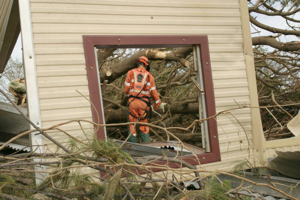 Professional Tree Care Services in Rushville, IL